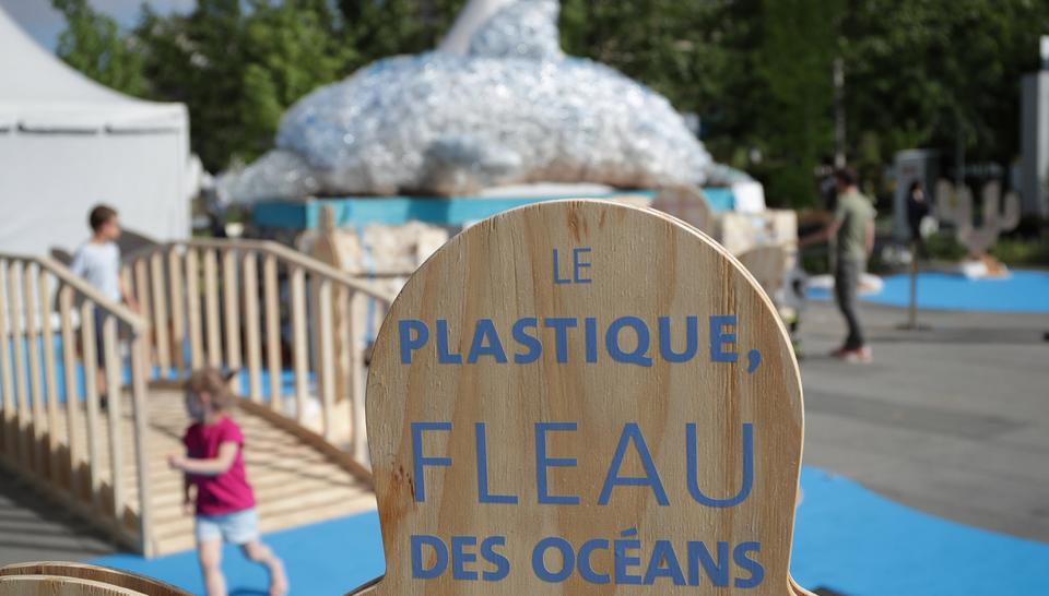 Dauphin BiodiversiTerre 2018