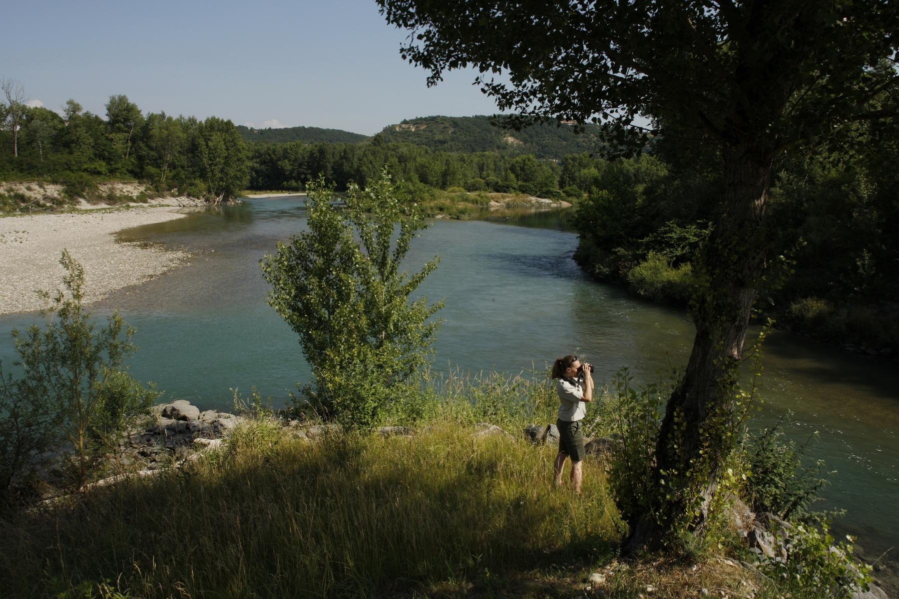ecosysteme et biodiversite