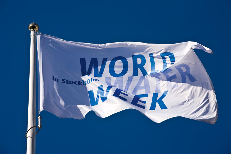 World Water Week 2014 - Stockholm