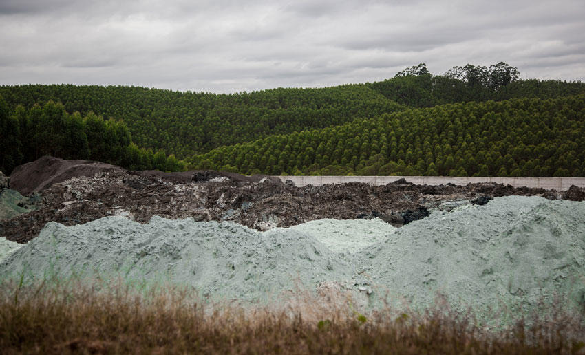 Brésil : L’économie circulaire stimule la filière cellulose