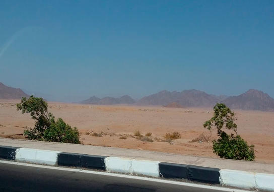 Abdullah Emirats