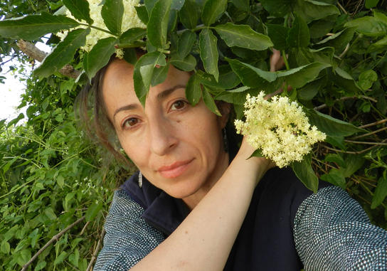 Antonina Bulgarie