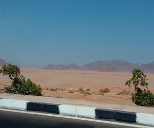 Abdullah Emirats Thumb Vignette