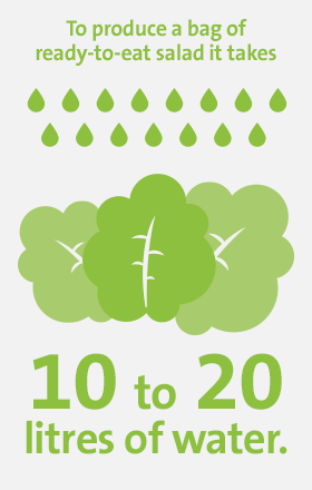 Key-figures - Food & Beverage 2 To produce a bag of ready-to-eat salad it takes 10 to 20 litres of water.