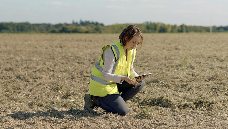 Engineer Soil Advisor in a field