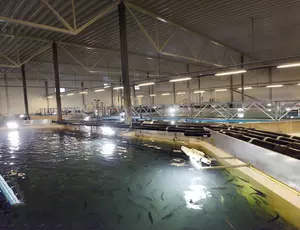 Aquaculture et réutilisation des eaux usées