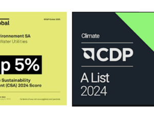 Veolia selected for CDP's A List 2024 and S&P Global's 2025 Sustainability Yearbook