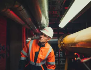 Use green cogeneration to moving away from coal, Braunschweig