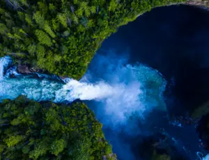 Arbres et chutes d'eau en vue aérienne