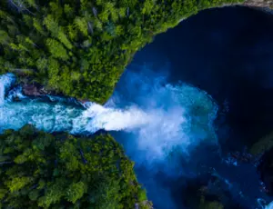 Trees and waterfalls from an aerial view