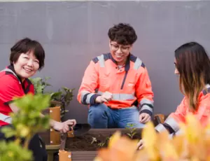 Photo of three people gardening in Hong Kong; urban agriculture