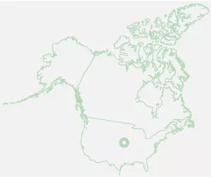 USA / US