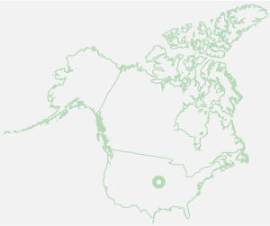 USA / US