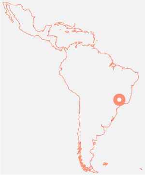 BRESIL / BRAZIL