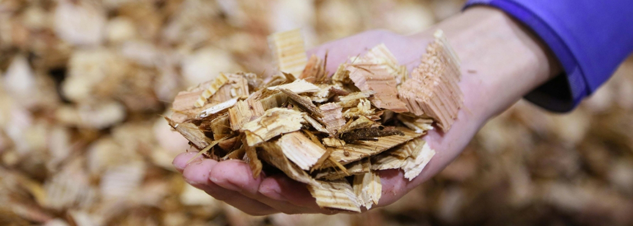 Introduire la biomasse dans le mix énergétique de nos clients