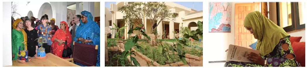 Oasis Niamey, Niger