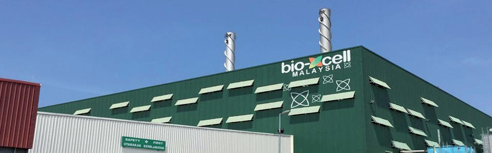 bio-xcell