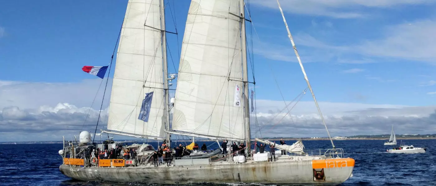 Tara Pacific