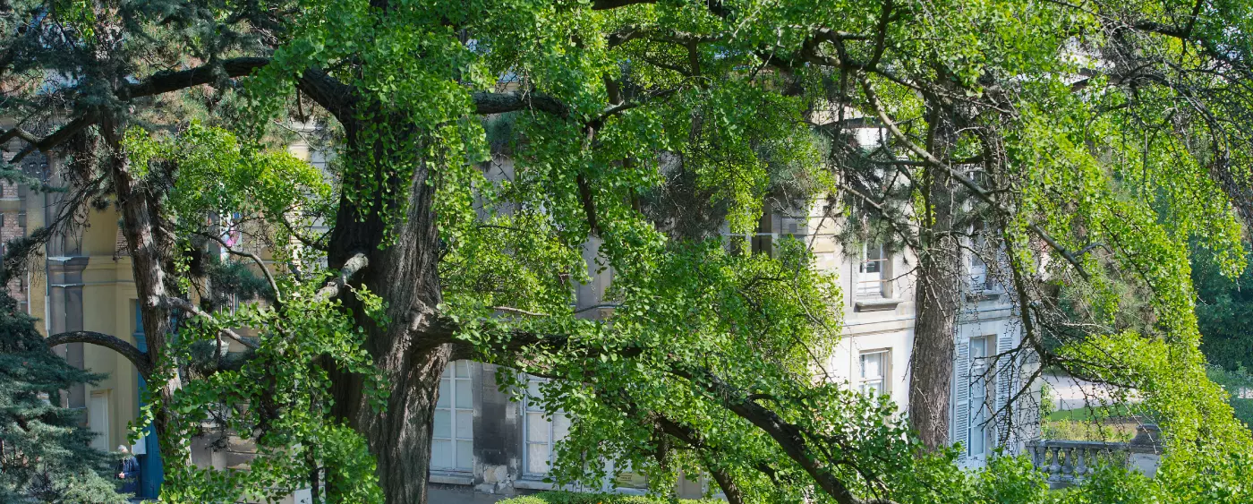 Our purpose in motion