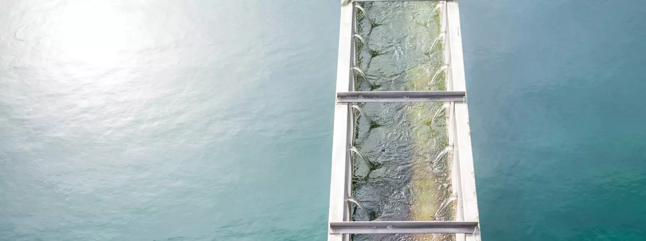 Réutilisation des eaux