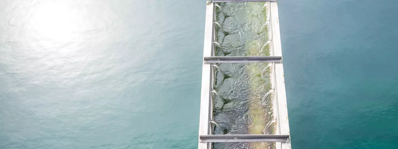 Water reuse