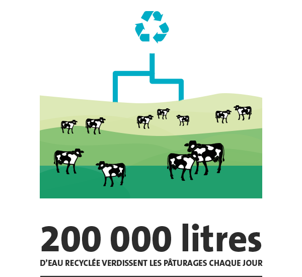De l'eau recyclée pour les pâturages