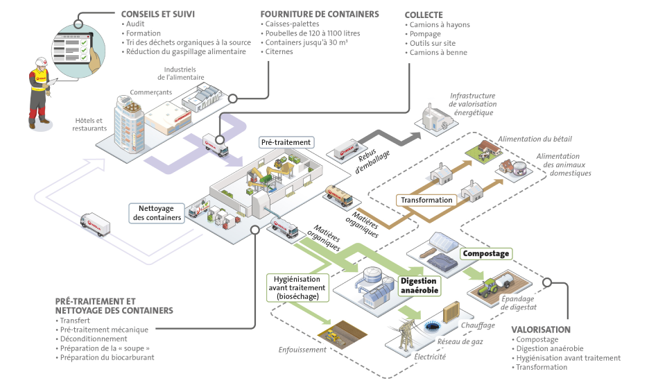 Recyclage des déchets organiques