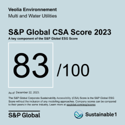 S&P CSA Score