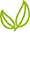 Picto vert plante