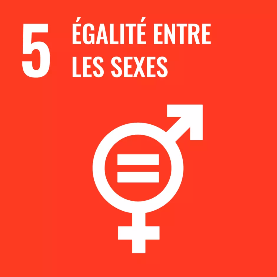 Pictogramme de l'objectif de développement durable de l'ONU : égalité entre les sexes