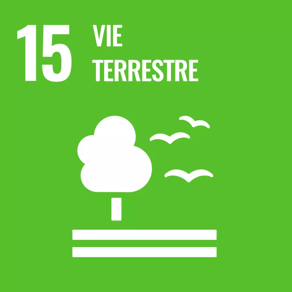 Pictogramme de l'objectif de développement durable de l'ONU : vie terrestre