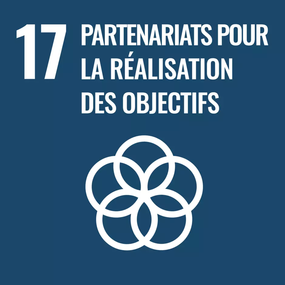 Pictogramme de l'objectif de développement durable de l'ONU : Partenariats pour la réalisation des objectifs