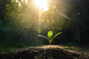 Sustainability advancement