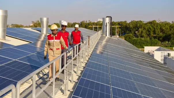 Efficacité énergétique pour la production alimentaire à grande échelle