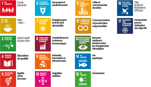 Objectifs de développement durable pour suivre la politique RSE