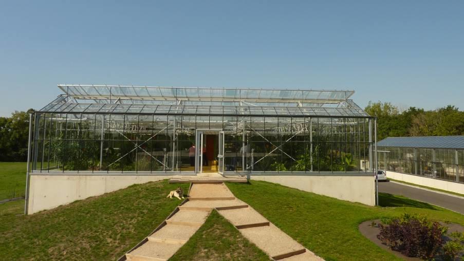 Organica traitement eaux usées par les plantes