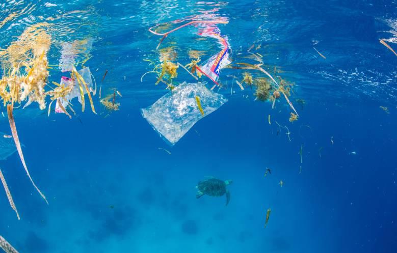 déchets plastiques dans les océans