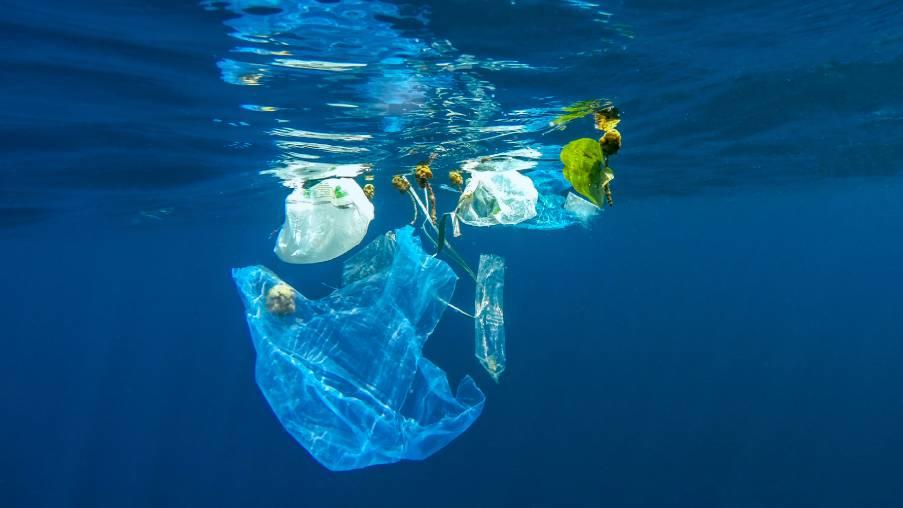 déchets de plastiques dans l'océan