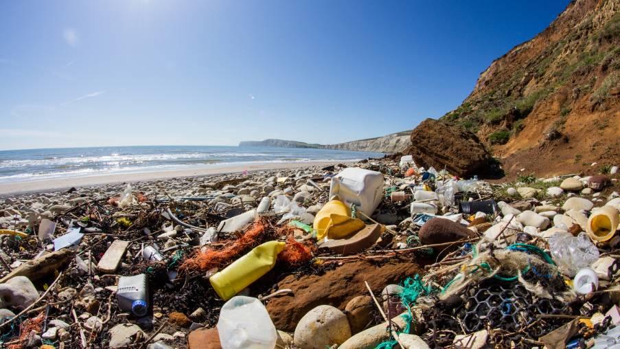 Waste washed up on the coast