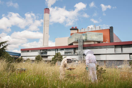 RSE passage au zéro phyto
