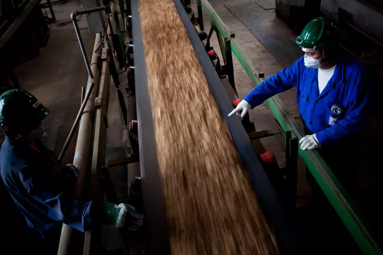 Biomasse : matière copeaux de bois