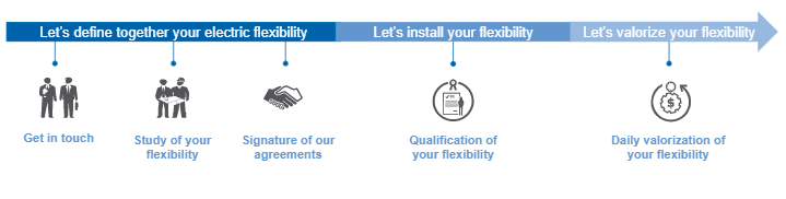 Electrical flexibility of networks, Flexcity process, Veolia