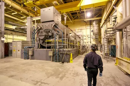Cogeneration and Environmental Performance