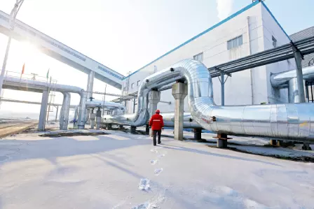 District Heating Network Site