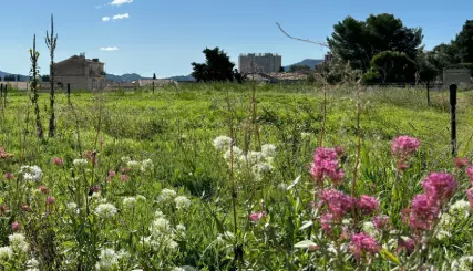 Biodiversity hotspots in Marseille, France