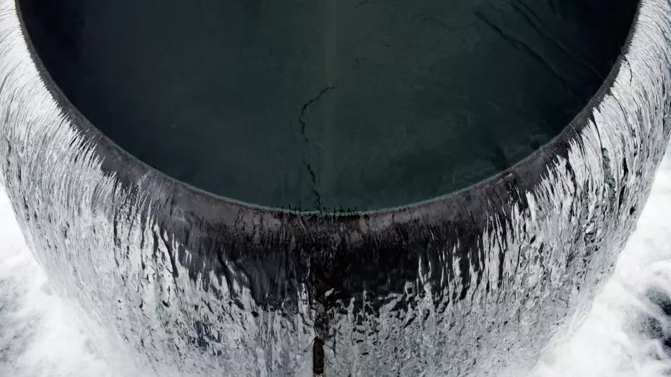 Water collecting fields