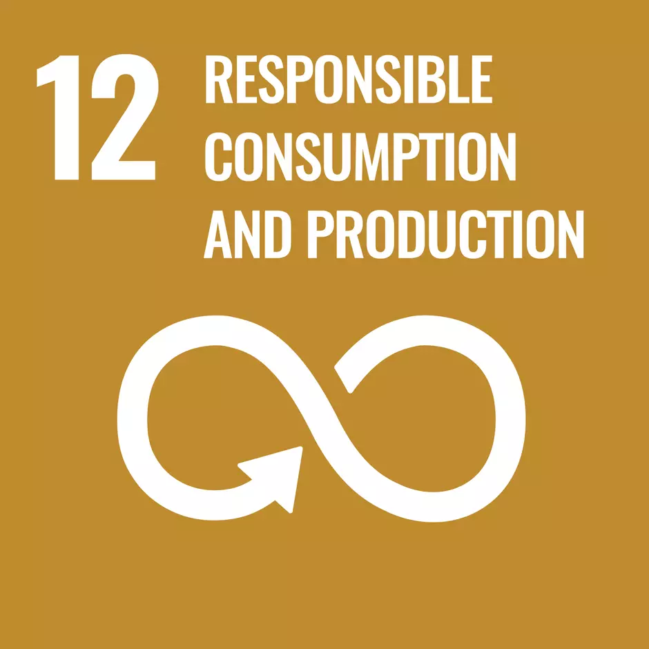 Pictogram of UN's sustainable development goal "Responsible consumption and production"