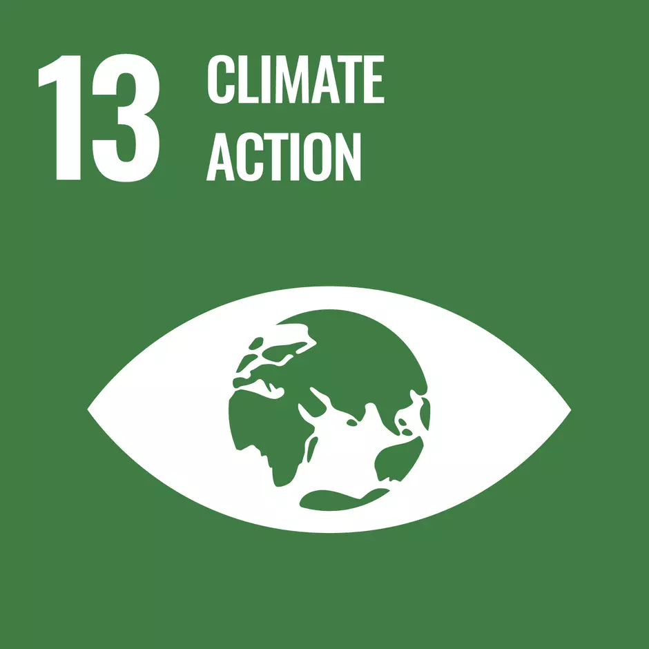 Pictogram of UN's sustainable development goal "Climate action"