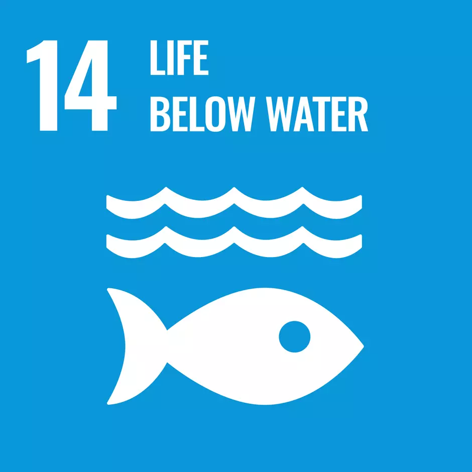 Pictogram of UN's sustainable development goal "Life below water"