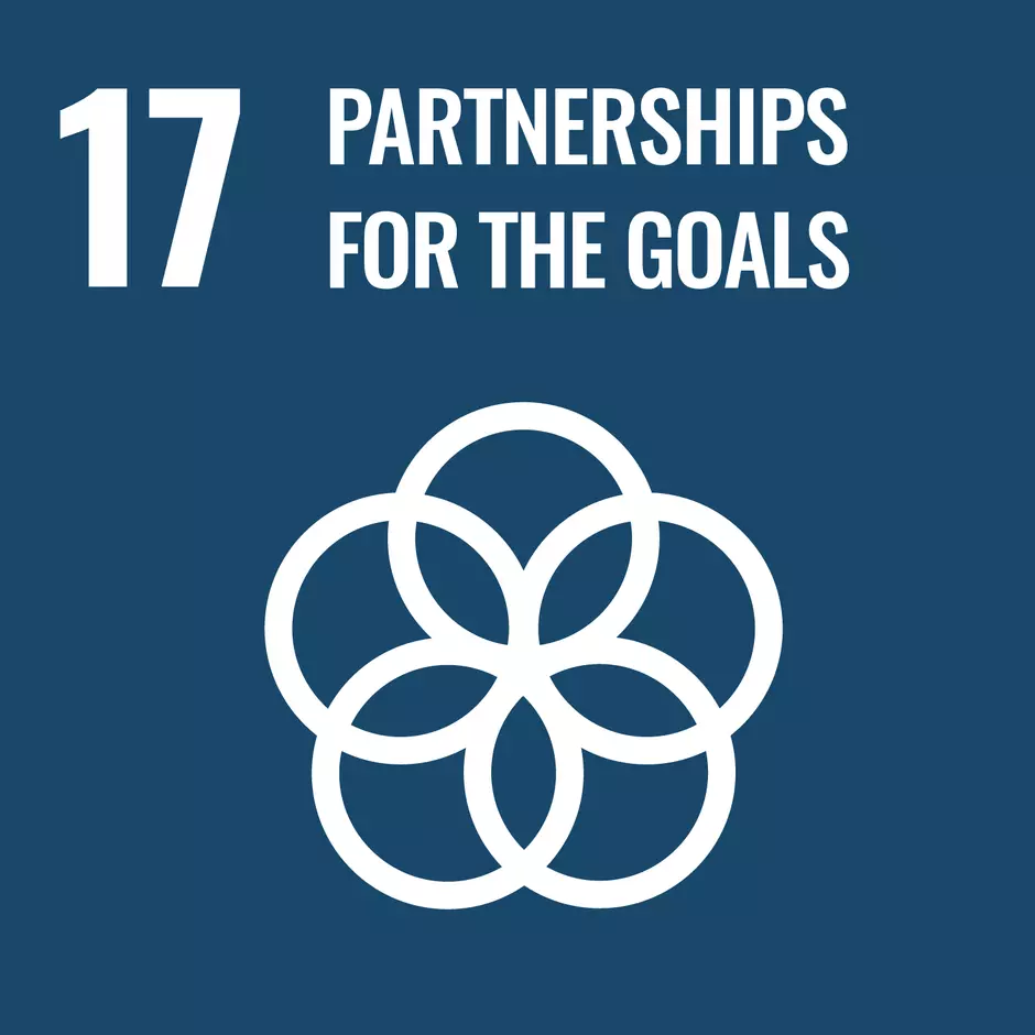 Pictogram of UN's sustainable development goal "Partnerships for the goals"